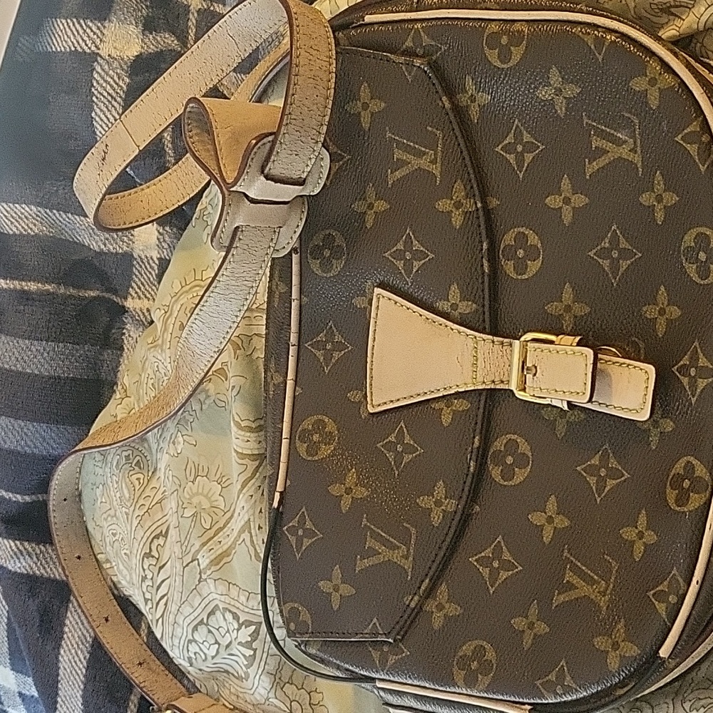 Authentic Louis vuitton bag